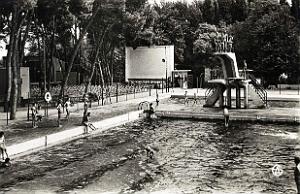Sidi bel abbes 543- Piscine municipale COLLECTION DES AMIS DE ND DE SANTA CRUZ